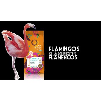 Dist. de Alimentos p/ t/ tipo de Animais | Zoo (Zoológico) FLAMINGOS | Saco de 6 kg  Enriquecido com FOS, VITAMINAS e AMINOACIDOS.